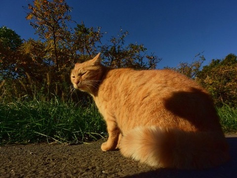 【ひどい】嫁が娘の彼氏と不倫していた。嫁「私たち離婚して別れましょう」俺「本当にいいんだな？」嫁「いいよ…だから財産分与もあなたが支払う慰謝料もきちんとしたいの」