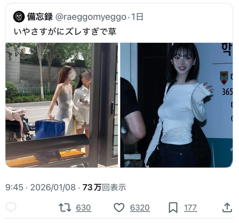 【画像あり】韓国お〇ぱい vs 日本お〇ぱい