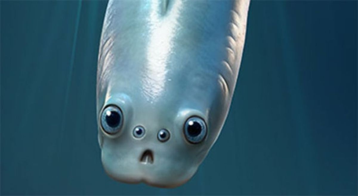 世界最古の脊椎動物には4つの目があった。2つの目は脳に入り込む進化を遂げていた