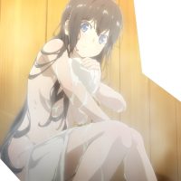 【画像】『ダンまち』ヒロインの抱き枕カバー、エチエチすぎる水着描き下ろしwww