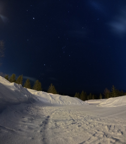 【画像】オリオン座撮れたから見てくれ