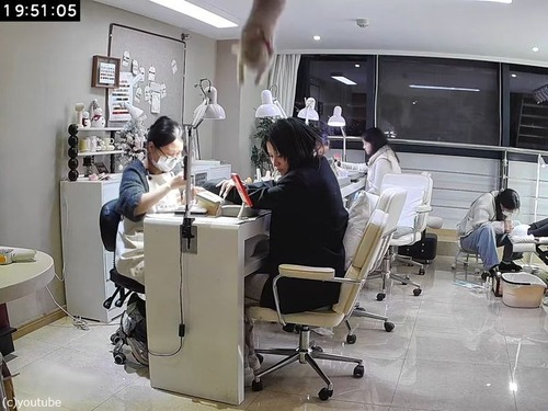 「猫が天井から落ちてきた！」ネイルサロンで突然のハプニング（動画）