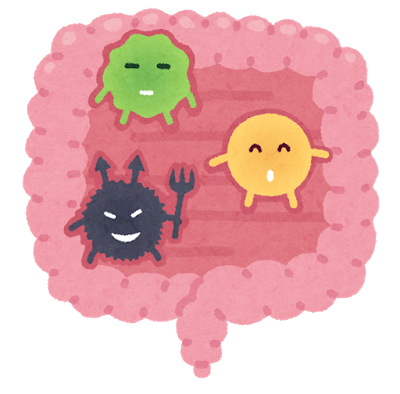 【朗報】ワイくん、『腸内細菌』を意識し出してからとんでもなく体調が良くなり歓喜ｗ