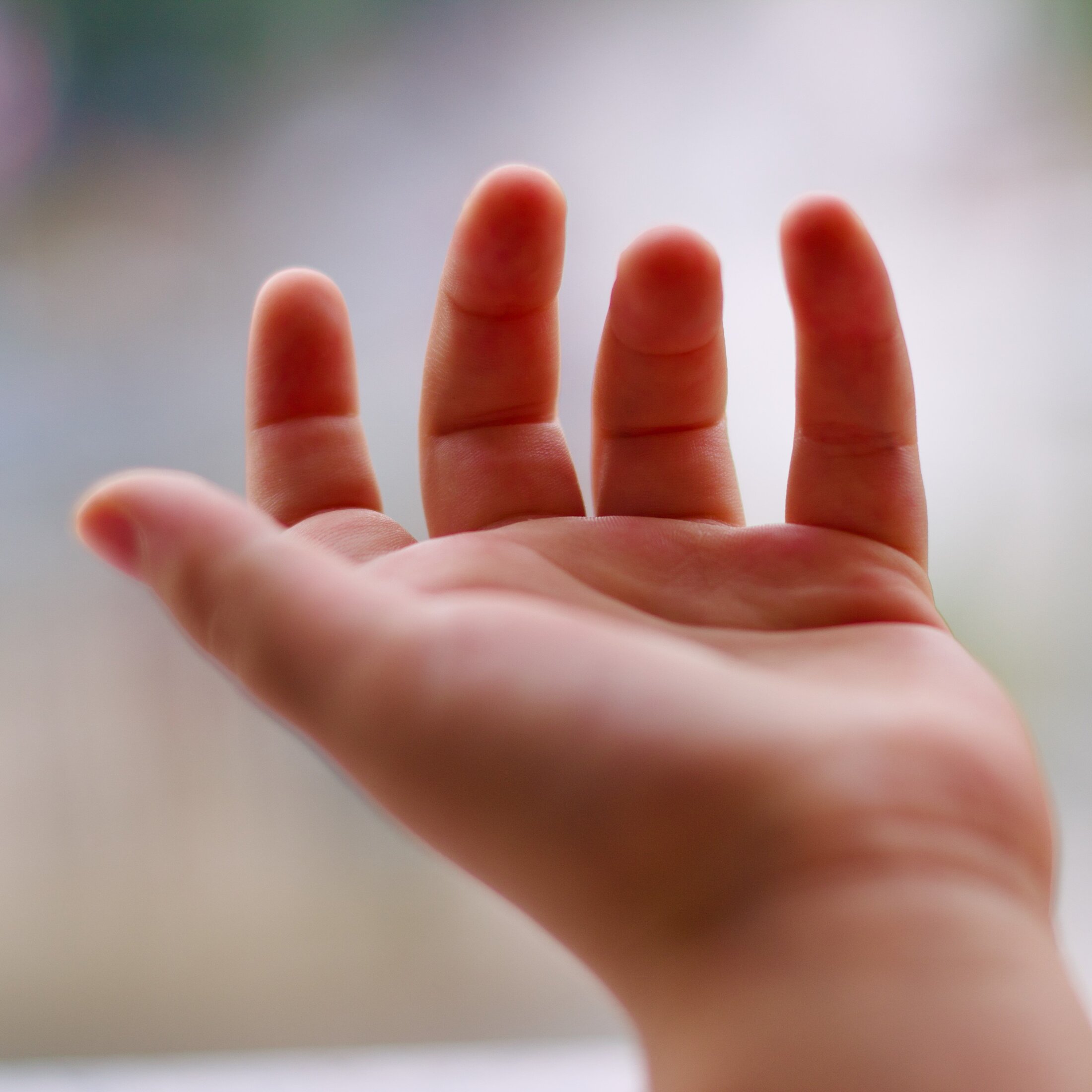 【炎上】自治会未加入で7歳児がどんど焼き参加できず「お前に食わせる豚汁はない」発言に専門家が警鐘