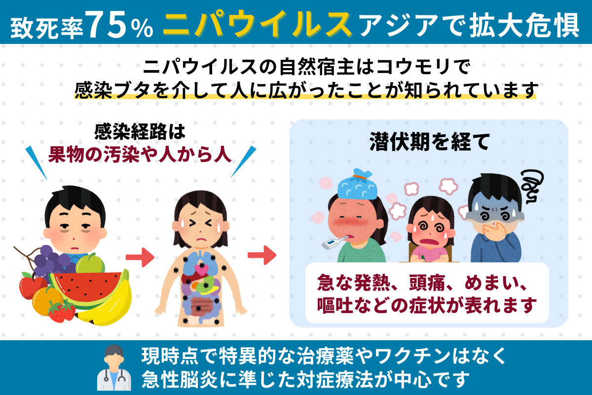 【ニパウイルス】高い致死率は40〜75%?　アジア各国で流行の懸念…　ワクチン・特効薬なし　日本で感染拡大する可能性は?
