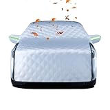 車に積もった雪、落とすならこれが正解だよね、、、一方中国は…