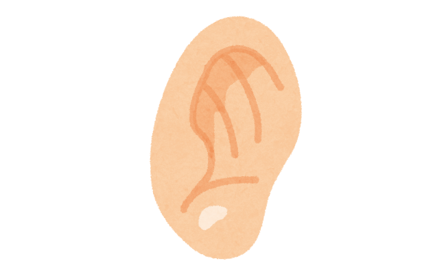 夫「海から上がってから、耳の中で何か音がする……」　中からまさかの生物が