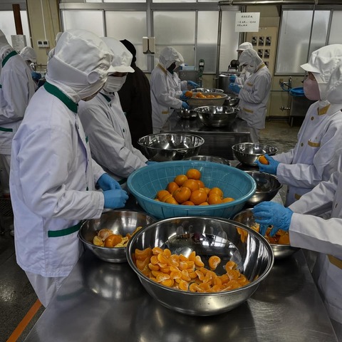 【画像】みかんの缶詰工場、レベチwww