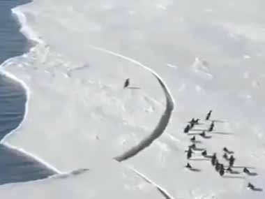 割れ出した流氷の上をペンギンたちが歩いていた。１匹が逃げ遅れる！ → 結果…