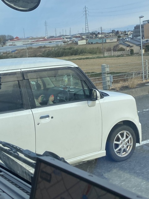 【画像】 X民「運転中にSwitchしてるやつおったわ！ﾊﾟｼｬ」←突っ込み殺到www