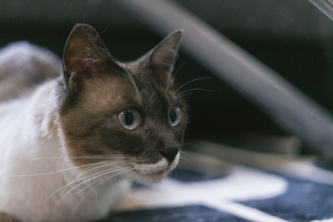 【報告者が…】同窓会にて。私「今は准看になって働いてる」A子「私はあんたみたいな准看に見られたくないけどね、あんた頭悪いから腕悪そうだし」