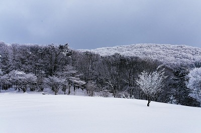 【動画】札幌の大雪、ガチで限界突破してしまう　お前らの想像の10倍ヤバい……