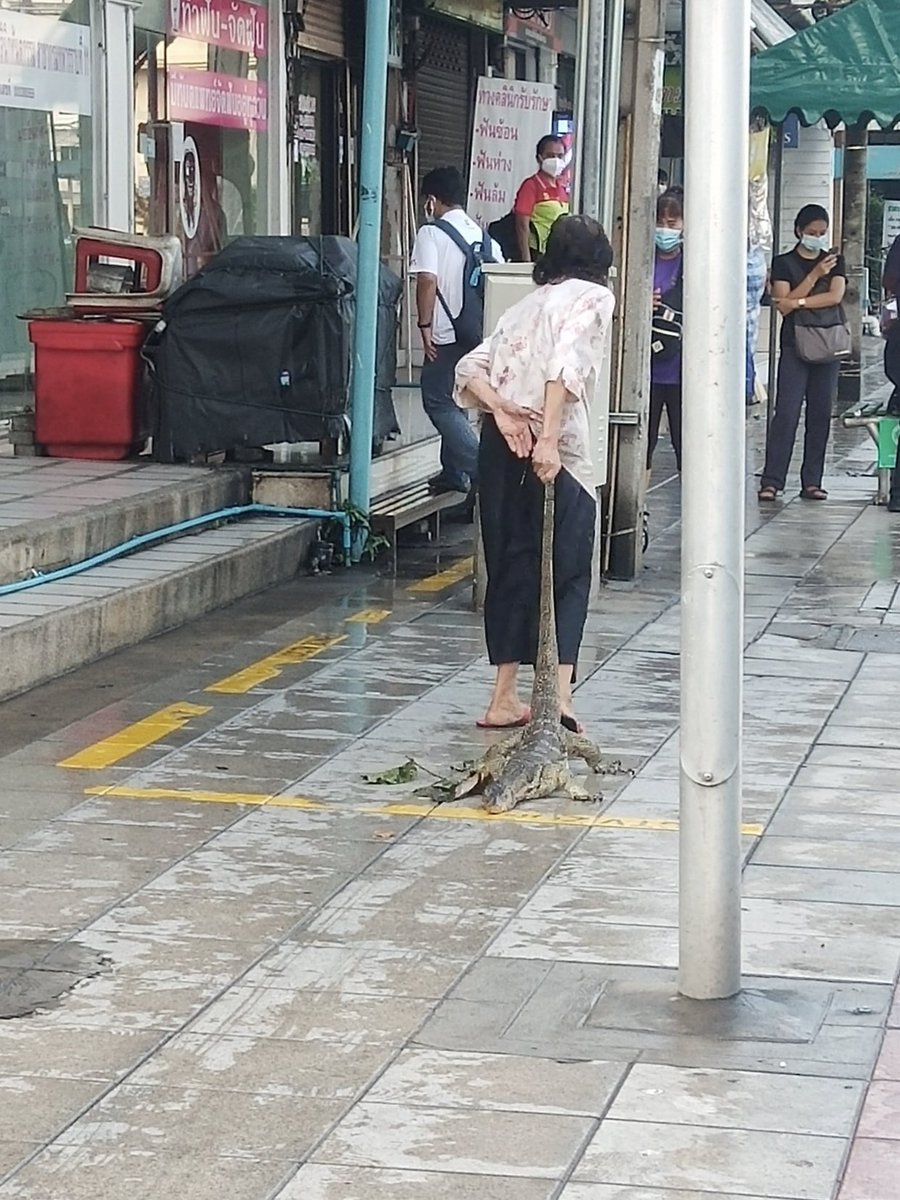 お前らが笑った画像を貼れ 222-6