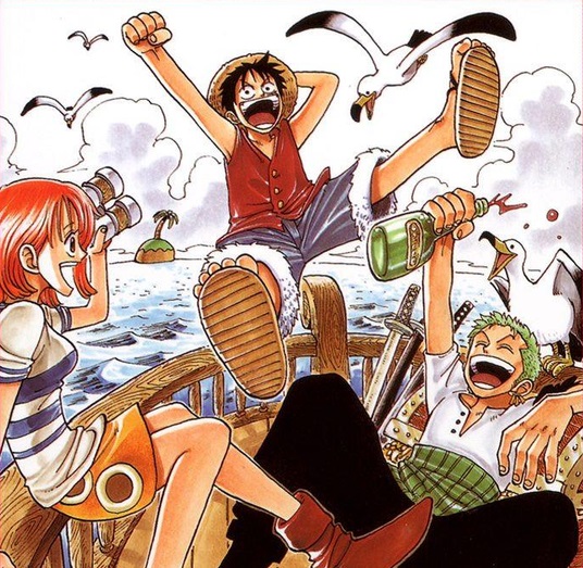 【ワンピース】麦わら一味のクルー重要度、もうめちゃくちゃwww