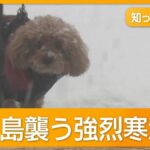 青森市164cm、酸ヶ湯（すかゆ）480cm☃