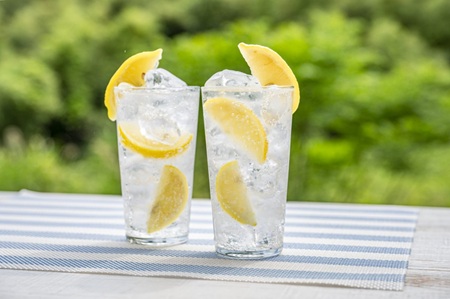 【朗報】レモンサワー界隈、遂に”答え”に到達するwww