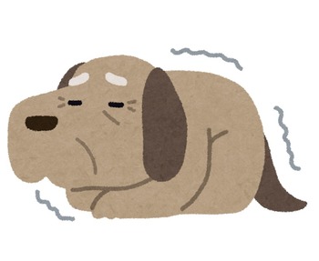 【胸糞】飼い犬が老衰で寝たきりなので、義父の13回忌は終わり次第先に帰らせてほしいと夫に言うと「犬畜生に時間もお金も使うのはもったいない、今すぐ安楽氏させろ」と言