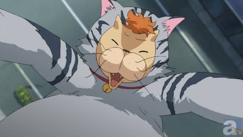 【悲報】ネッコ、自●してしまう