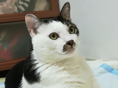 【予想外】義姉「25歳になる娘が殆ど動かないの、体がダメになりそうで怖い」ジムで働いてる俺「マラソンさせよう」→義姉娘をジムに呼んだら、下駄を履いて現れた！