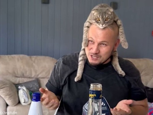 「安定してる…」猫が男性の頭の上にピッタリ収まる（動画）