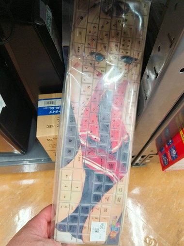 【画像】ハードオフに来たんだがとんでもないものが売ってた