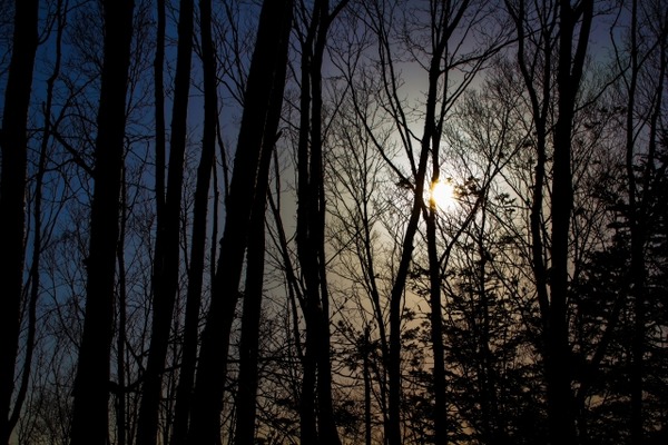 【閲覧注意】松戸のJK自殺動画が忘れられない・・・・⇒