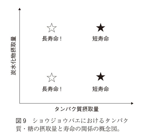 【画像】タンパク質の摂取量が多いほど短寿命であることが研究で判明してしまう