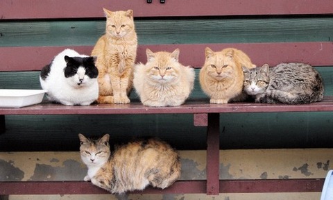 私が運転中、渋滞にハマって車が進まないことに彼氏がブチ切れ。十字路で信号が青になっても前が詰まってて進めなくて停止してたら、彼氏「進めよ！！」