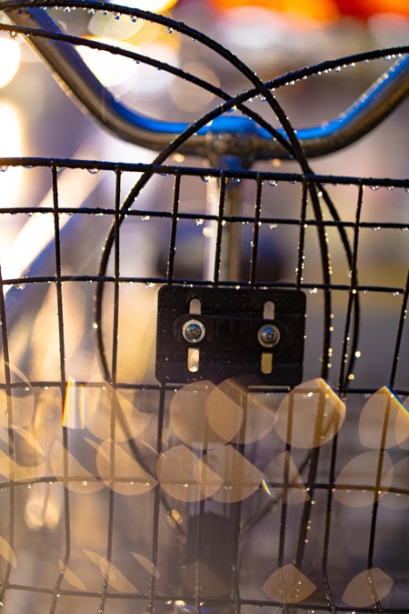 チャリカス、今日も元気に車道を走る