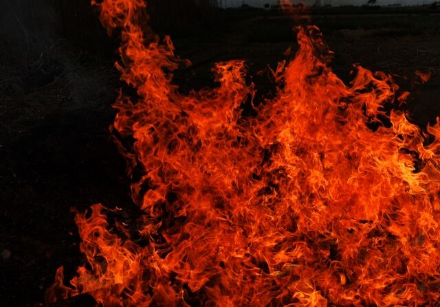 声優の浅野真澄さん、宿泊した高級ヴィラで火事にあった体験を告白