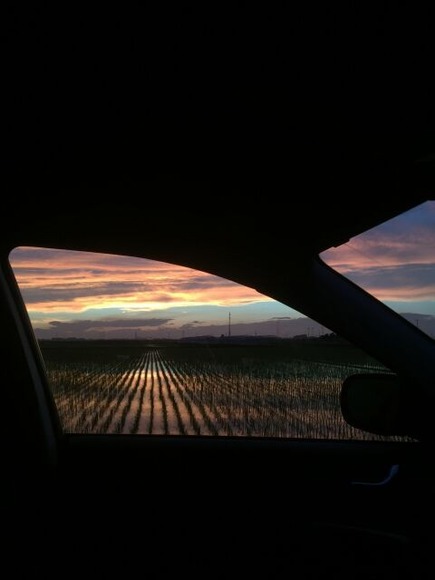 ワークマン9800円寝袋、イージス上下12000円、簡易湯たんぽ(熱湯ペットボトル)でマイナス20度耐えられると思う？