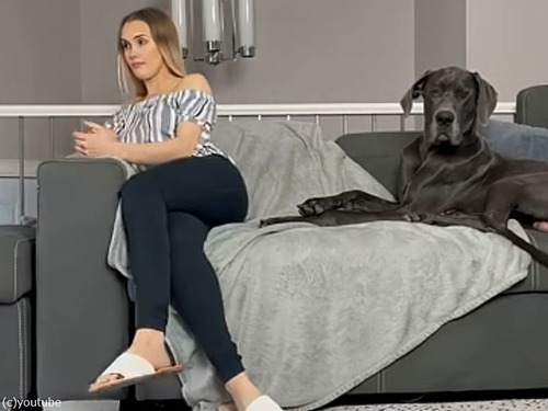 「試しに愛犬を無視してみたら…」こんなリアクションになった（動画）