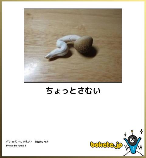 深夜に見ると危険な画像貼ってけwww