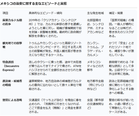 【動画】メキシコで麻薬組織が政府軍を攻撃、大規模銃撃戦