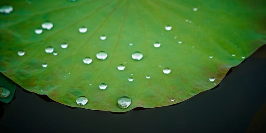 水を弾くことで浮力を得る「沈まない金属」が作られた