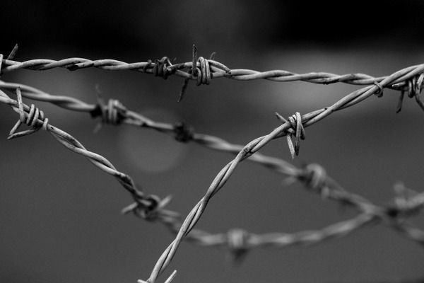 【閲覧注意】「死体は有刺鉄線で巻いて海に沈めると完全犯罪成立」⇒結果ｗｗ