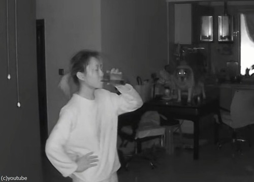女性が暗い部屋で水を飲んでいたら…愛犬が見つめていて悲鳴を上げる（動画）