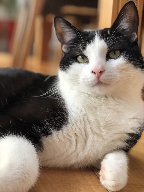 お刺身定食を食べて空になった皿を見た義弟「私さん意地汚いっすよ…」私「なにが？」義弟「同じ種類のお刺身まで全部食べるのはどうかと思いますよ…」私「はい？」