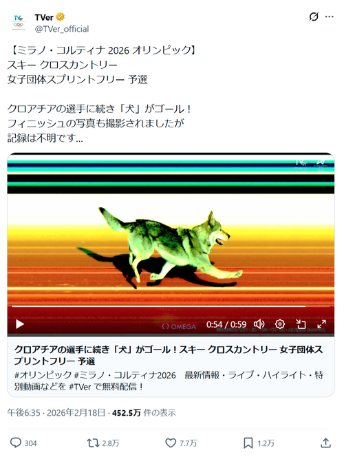 【衝撃映像】オリンピックにとんでもない乱入者が現れる→写真判定にまで発展へwww