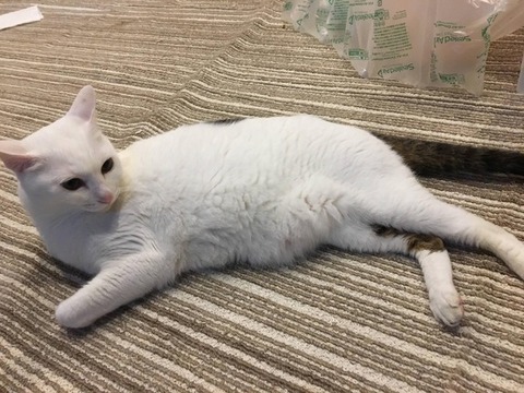 【これは酷い】彼女を驚かせようとサプライズで家に行ったら、何故か外に聞こえるほど大音量で音楽を流していた！→訝しみながらも部屋に入ったら…