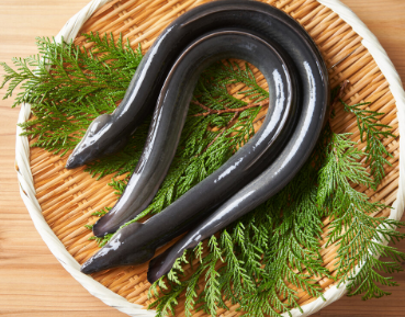 幼馴染のウナギ屋店主との不倫がバレた女性が夫から受けた拷問S●X実録