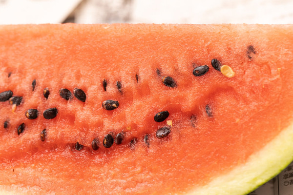 【GIF】志村けんのスイカ早食い、改めて見てもスゴすぎるwww