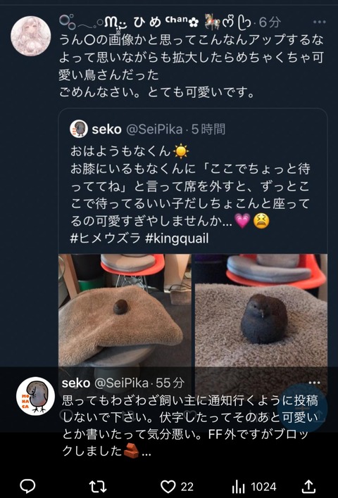 飼い主「ウズラの写真みてー！可愛いー！」女「うんこかと思った」飼い主「！？」