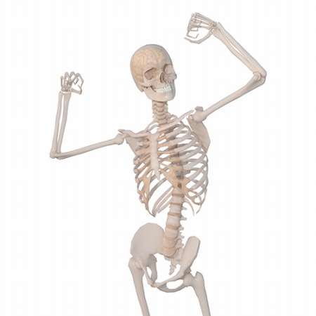 【朗報】人気のないベンチで座ったまま亡くなった男性、10年後に座ったまま見つかる