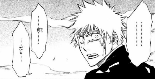 【画像】黒崎一護、おにぎりと化す