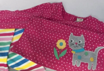 無職の姉「元旦那からの養育費が減額された！子供の服も買ってやれない！助けて！」私「嫌だ」母「孫が可哀想！助けてあげなさい！」→結果…