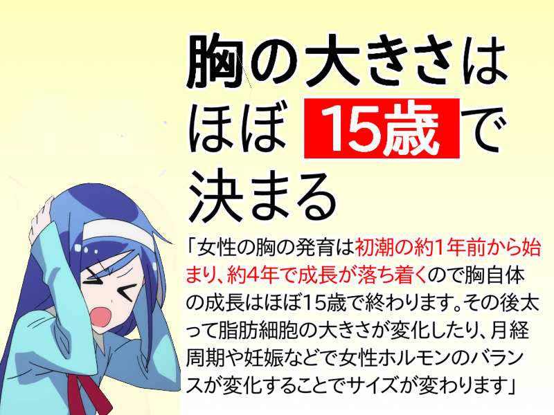 【議論】かわいい女の子のおっぱいは高確率で美しい