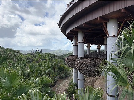 【悲報】ジャングリア沖縄、社長以外の主力メンバーが全員逃亡した模様www