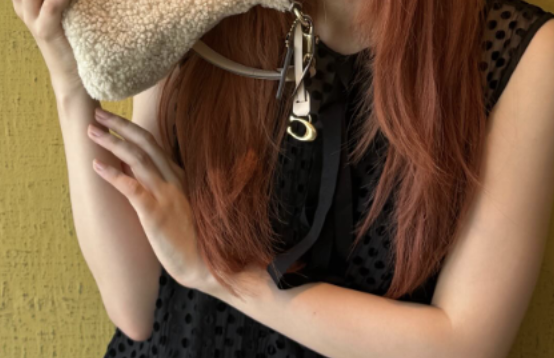 【画像】YOASOBIのメスのほう、シコくなる