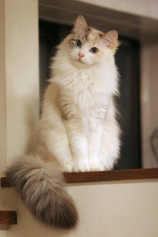 弁当屋から出て10分後、強盗が来て店員をコロしたらしい。翌日の早朝4時に警察が家にやってきて友人関係とか行動を洗いざらい聞かれた。その日は結婚式だったので…